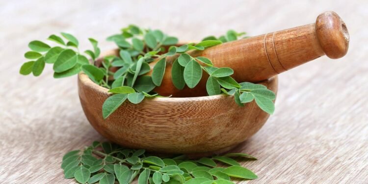 A planta mais completa e esquecida que pode mudar sua alimentação