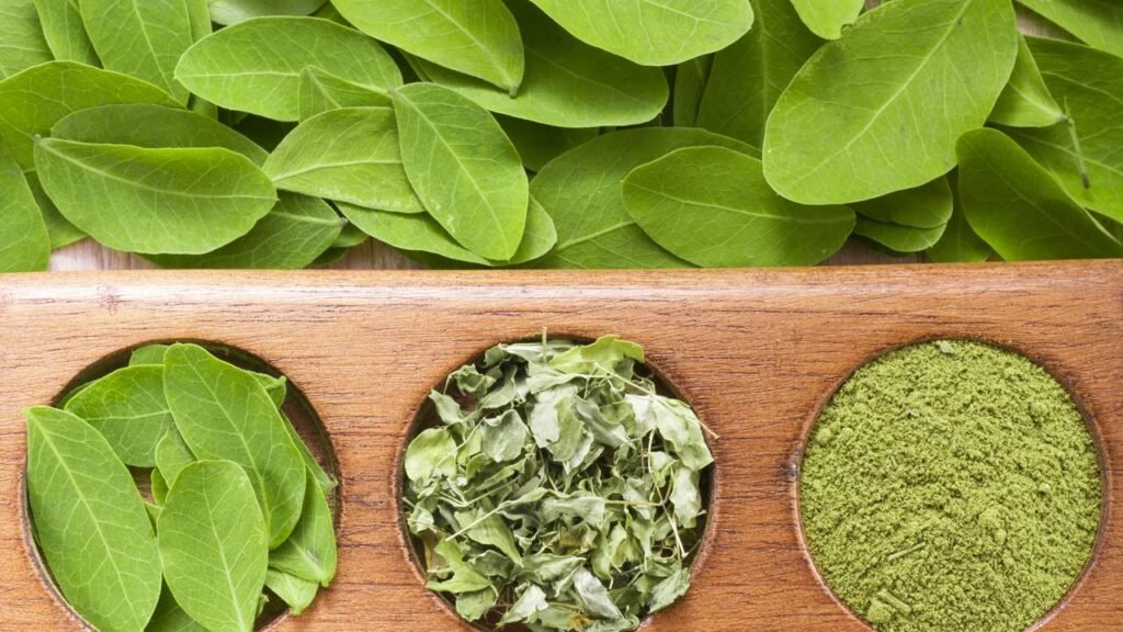 A planta mais completa e esquecida que pode mudar sua alimentação 