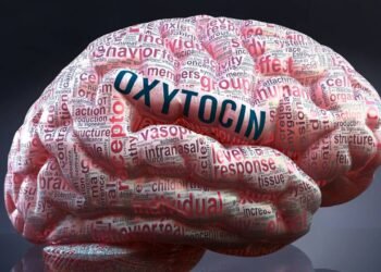 Como aumentar a ocitocina naturalmente