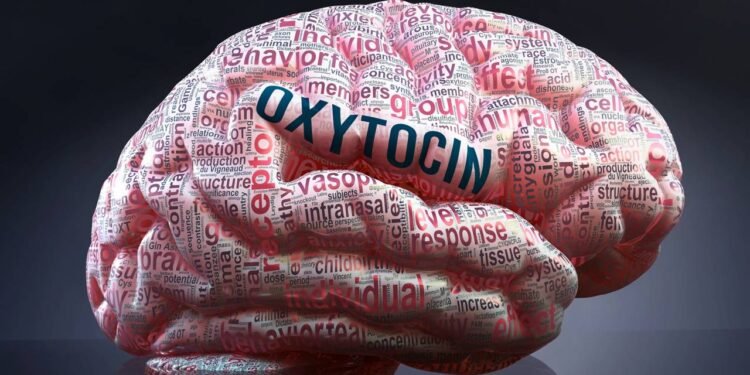Ocitocina - Créditos: depositphotos.com / NiceIdeas
