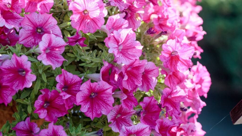 Como criar um jardim com flores que atraem abelhas e borboletas e dão vida ao seu quintal
