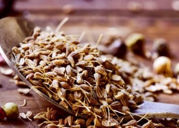 O chá adocicado para aliviar cólicas e o inchaço abdominal segundo especialistas