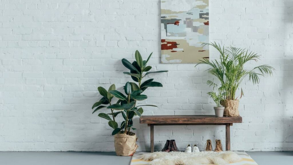 As melhores plantas para aliviar alergias e umidificar o ar em casa