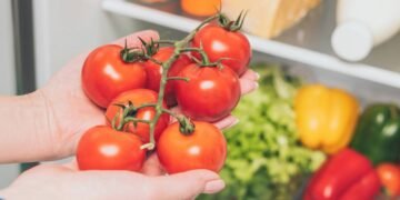 Como proteger alimentos do calor e evitar desperdício no verão