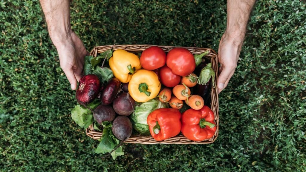 Verduras estragam em poucos dias? Aprenda o jeito certo de guardar