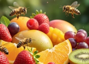 Como a polinização natural das abelhas garante frutas bonitas e saborosas