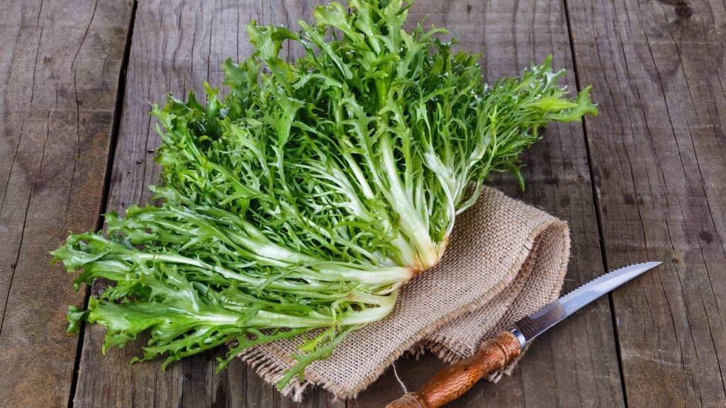 Essa hortaliça cresce sem sol direto e rende folhas frescas o ano inteiro