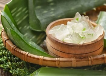 Como usar babosa para recuperar fios danificados e quebradiços sem gastar nada