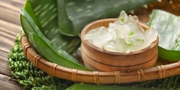 Como usar babosa para recuperar fios danificados e quebradiços sem gastar nada