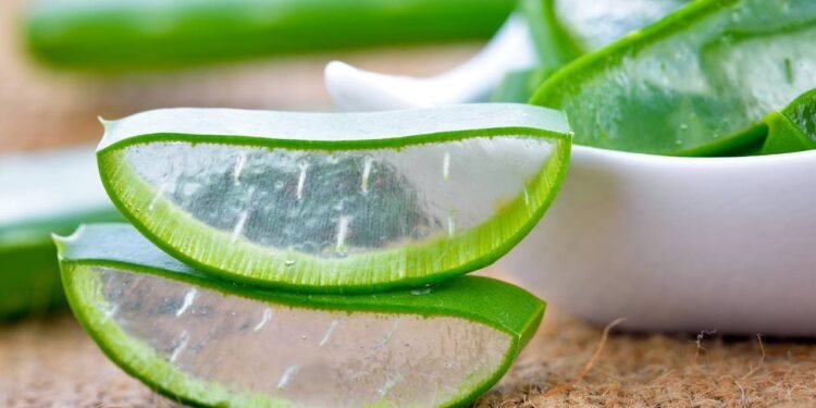 A babsoa faz bem apara o cabelo e para pele - Créditos: depositphotos.com / soloist_nan@hotmail.com