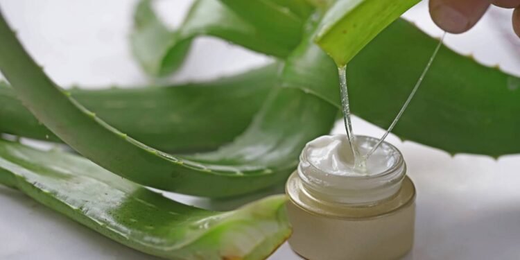 A babosa com vitamina E que deixa a pele incrível - Créditos: depositphotos.com / mylasa