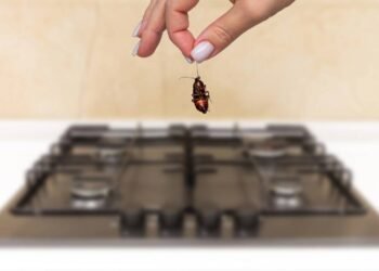 O cantinho esquecido da casa que mais atrai baratinhas rapidamente