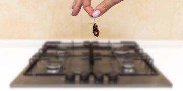 O cantinho esquecido da casa que mais atrai baratinhas rapidamente