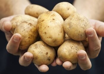 Guarda as batatas dessa forma e mantenha elas conservadas por até 5 meses na geladeira