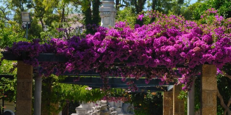 A planta vibrante que transforma qualquer jardim - Créditos: depositphotos.com / monysasi