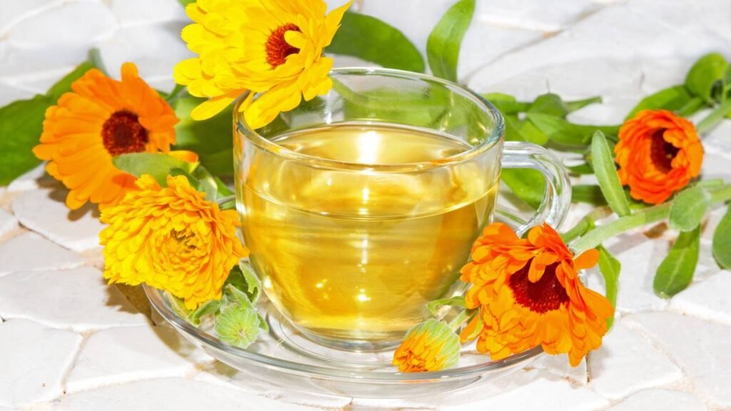 A flor que me ajudou a lidar com dias difíceis sem remédio nem esforço