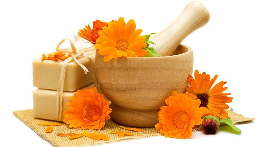 A flor que me ajudou a lidar com dias difíceis sem remédio nem esforço