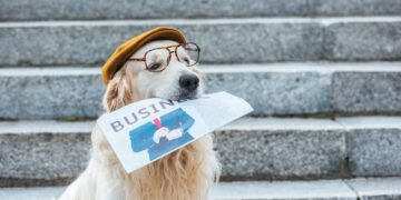 As 5 raças de cães mais inteligentes, segundo um veterinário