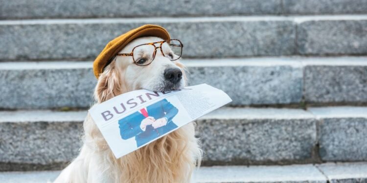 As raças de cães mais inteligentes segundo especialistas - Créditos: depositphotos.com / KostyaKlimenko