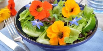Como plantar capuchinha comestível e turbinar saladas com cor