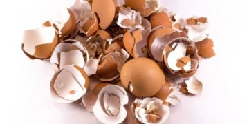 Pare de jogar cascas de ovos fora, veja 7 ideias criativas para reaproveitar elas