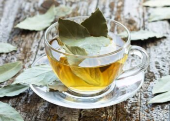 A erva medicinal que ajuda a reduzir gases e melhorar a digestão