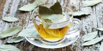 A erva medicinal que ajuda a reduzir gases e melhorar a digestão