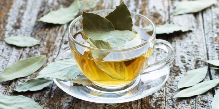 O chá de louro favorece o processo digestivo por estimular a produção de enzimas e facilitar a quebra de alimentos no estômago - Créditos: depositphotos.com / kopi.in.ua