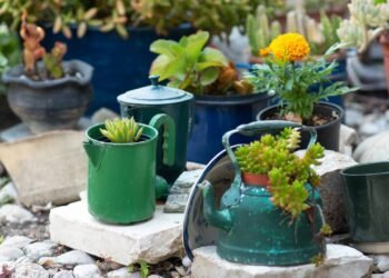 Não jogue fora suas chaleiras antigas, elas se tornaram um objeto decorativo para a casa