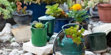 Não jogue fora suas chaleiras antigas, elas se tornaram um objeto decorativo para a casa