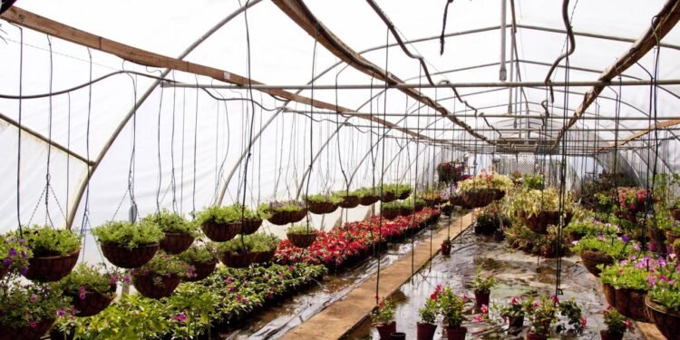 cultivo de uma horta suspensa em casa é uma solução eficiente - Créditos: depositphotos.com / lcswart