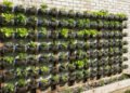 Como fazer uma horta vertical usando garrafa PET do jeito mais prático