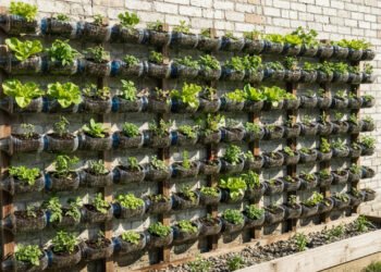 Como fazer uma horta vertical usando garrafa PET do jeito mais prático