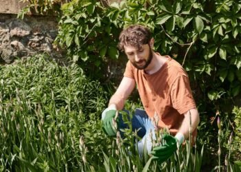 Cansada de ver suas plantas morrendo no calor? Conheça as espécies corretas