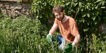 Cansada de ver suas plantas morrendo no calor? Conheça as espécies corretas