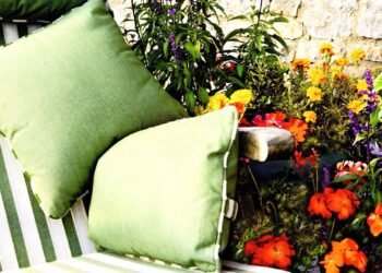 As plantas que ajudam a limpar o ar da sua casa de maneira natural