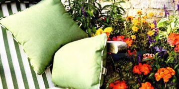 As plantas que ajudam a limpar o ar da sua casa de maneira natural