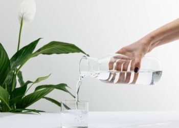 A flor que purifica o ar da sua casa e avisa quando precisa de água