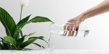 A flor que purifica o ar da sua casa e avisa quando precisa de água