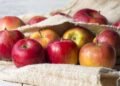 Suas maçãs amolecem ou estragam muito rapidamente? Aprenda como manter elas firmes e frescas por até 20 dias