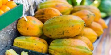 Os incríveis benefícios do mamão para corpo e imunidade