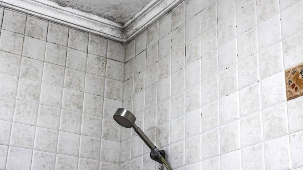 Descobri por que meu banheiro não secava mesmo com a janela aberta e resolvi com isso