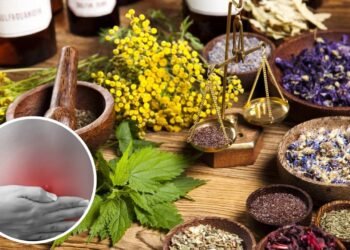 Essas plantas mudaram minha digestão e sumiu com o inchaço abdominal