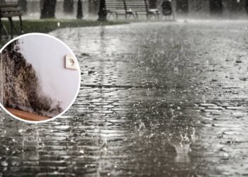 Chuvas fortes? Sem problemas! Veja como tornar as paredes da sua casa resistentes a vazamentos e mofo