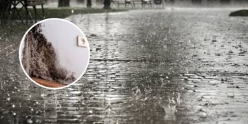 Chuvas fortes? Sem problemas! Veja como tornar as paredes da sua casa resistentes a vazamentos e mofo