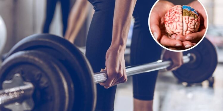 Seu cérebro pode estar envelhecendo mais rápido por falta disso na sua rotina