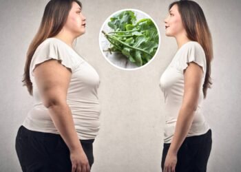 O que o sabor amargo desta folha esconde de bom para seu coração e peso