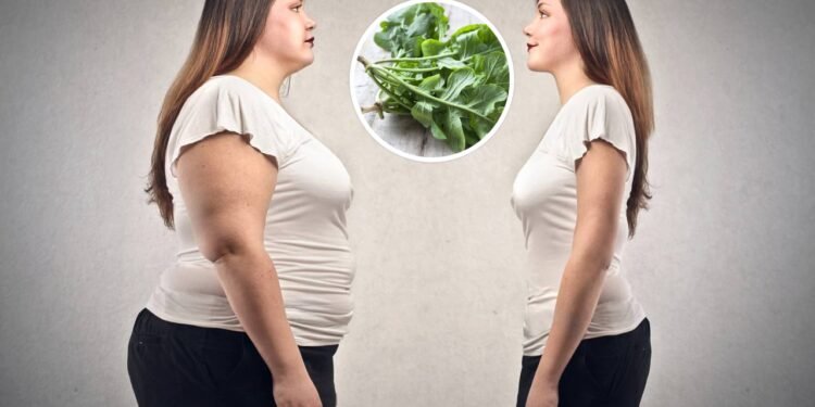 Suas fibras ajudam na manutenção do peso, colaborando para uma dieta equilibrada com baixas calorias - Créditos: depositphotos.com / kamonrat / Créditos: depositphotos.com / olly18