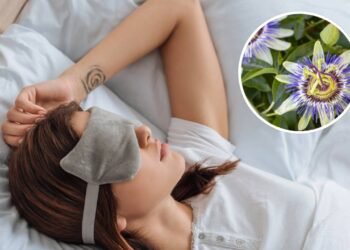 Esse calmante natural é apontado como um dos mais eficazes contra insônia