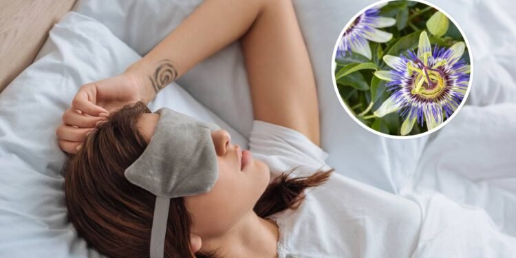 A passiflora, ou flor do maracujá, destaca-se por sua rica composição química - Créditos: depositphotos.com / EsinDeniz / Créditos: depositphotos.com / HayDmitriy